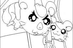 hamtaro26