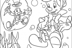 pinocchio13