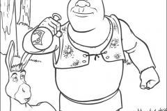 Shrek27