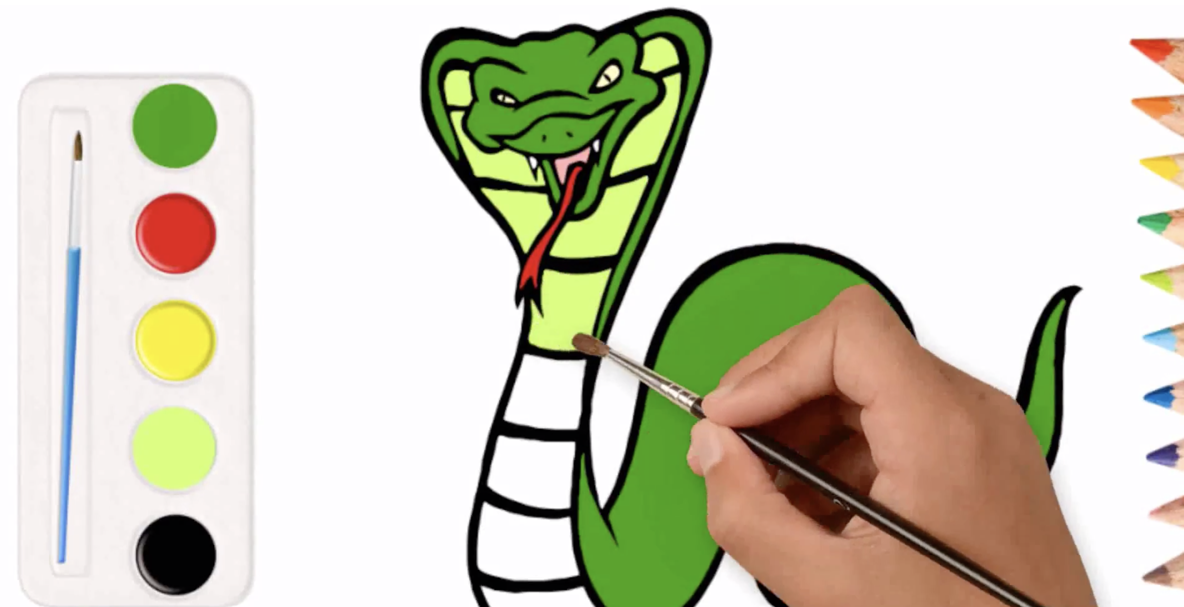 Colorindo páginas para colorir crianças desenho cobra rei cobra