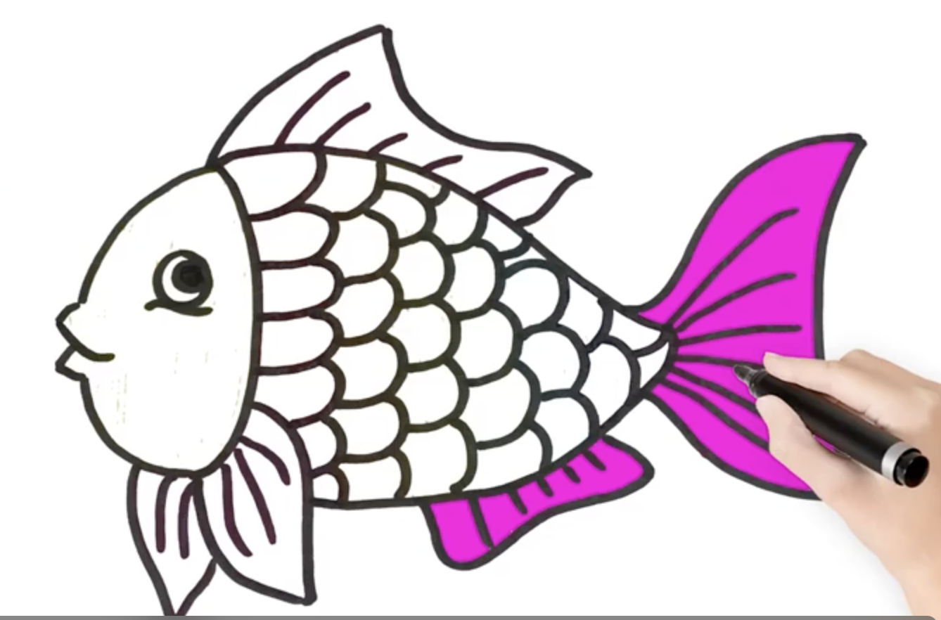 Colorindo páginas Desenho de peixe