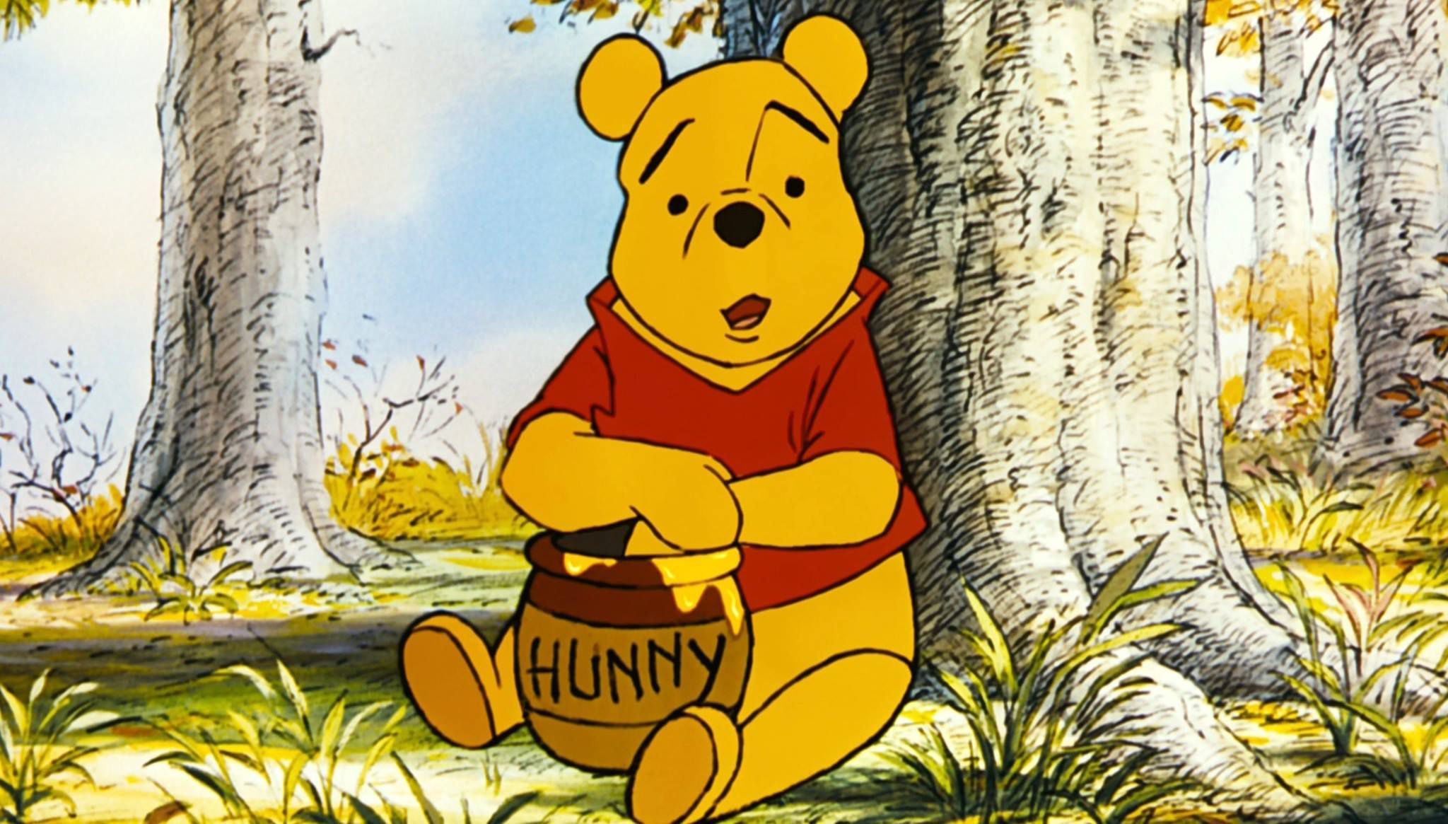 Winnie The Pooh