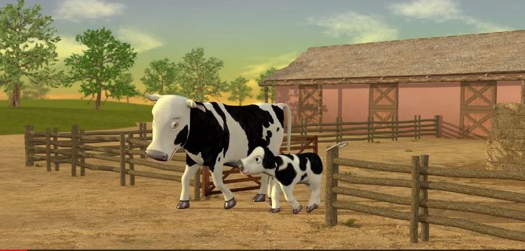 Tomando Café da Manhã com o Zenão – A Fazenda Do Zenão