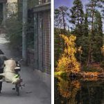 20 Fotos algumas coisas bem curiosas que existem na Finlândia