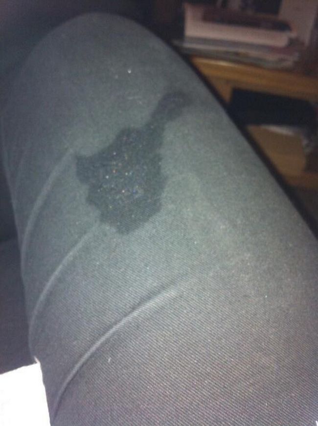 coisas-quem-tem-caes-entende-12