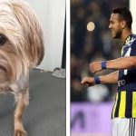 16 Fotos que vão dar um “tilt” no seu cérebro