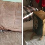 21 Animais que falharam ridiculamente na arte de se esconder