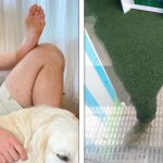 21 Imagens confusas que podem embaralhar o seu cérebro