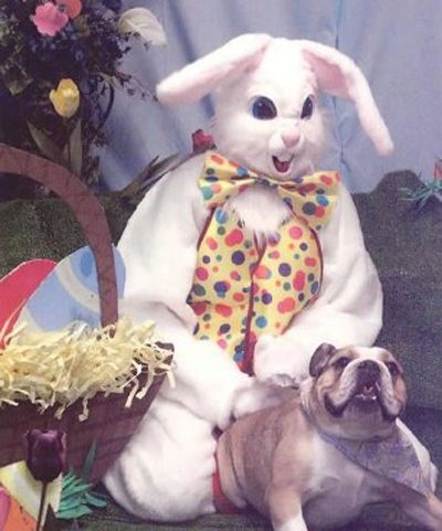 fotos-estranhas-páscoa-18