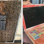 Parte 6 | 21 Das piores coisas que técnicos de informática já viram durante o trabalho