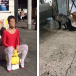 18 Fotos provando que o Japão não é qualquer coisa, menos entediante