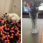 18 Imagens que representam muito bem a palavra “perfeição” de diferentes formas