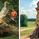 20 Pessoas que levaram seus trabalhos de marcenaria a outro nível