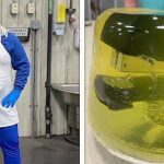 22 Pessoas que possuem colegas de trabalho que são piores do que inimigos