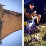 22 Vezes em que a natureza deixou seu lado bizarro à mostra