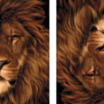 12 Fascinantes ilusões de ótica que fazem duvidar do que se está realmente vendo