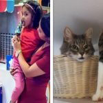 18 Imagens confusas perfeitas para embaralhar o cérebro de qualquer um