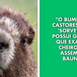 19 Vezes em que as pessoas compartilharam fatos pouco conhecidos e interessantes sobre animais