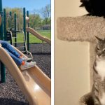 20 Fotos que foram tiradas em momentos mais do que oportunos