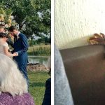 20 Vezes em que as ilusões de ótica pregaram peças em nossa mente