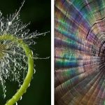 24 Imagens que mostram alguns dos milagres incríveis e assustadores da natureza