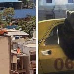 Parte 2 | 20 Imagens provando que algumas coisas podem parecer bem confusas quando fora de contexto