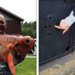 16 Fotos que fazem duvidar do que os olhos estão realmente vendo