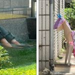 16 Vezes em que a pareidolia brincou com a nossa imaginação