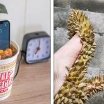 18 Vezes que os designers colocaram em prática suas ideias mais ousadas e absurdas