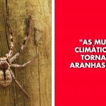 20 Fatos curiosos e bizarros, que podem fazer qualquer um perder o sono