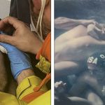 20 Fotos acidentais que ficaram muito parecidas com pinturas renascentistas