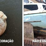 23 Vezes em que as pessoas tiveram que olhar duas vezes para algumas coisas para ter certeza do que eram