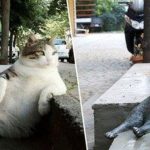 8 Esculturas que escondem histórias curiosas por trás de suas belezas