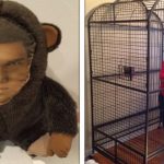 20 Pessoas que conseguiram resolver seus problemas utilizando muita criatividade e bom humor