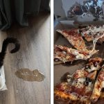 22 Situações capazes de estressar até as pessoas mais calmas