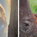 22 Vezes em que as pessoas encontraram coisas estranhamente interessantes e resolveram compartilhar