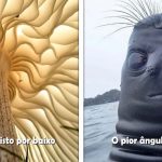 23 Ângulos alternativos de fotos que mostram o mundo de uma forma pouco vista