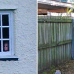 17 Flagrantes de vizinhos que deixaram a vizinhança bem mais interessante