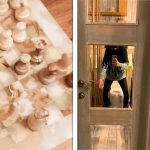 17 Pessoas que não sabiam o básico na hora de executar seus trabalhos