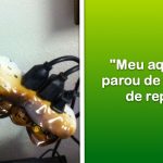 21 Vezes em que os funcionários de suporte técnico se depararam com situações desastrosas e decidiram compartilhar