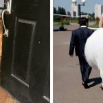 23 Ilusões de ótica acidentais que parecem ter saído de uma realidade paralela