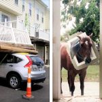 23 Vezes em que o dia foi uma caixinha de surpresas – mas não das boas!