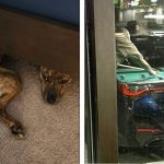 15 Imagens confusas capazes de testar a nossa imaginação