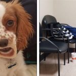 16 Vezes em que as fotos fizeram as mentes enxergarem muito mais do que deveriam