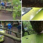 18 Coisas que parecem absurdas, mas que aconteceram de verdade