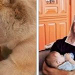 20+ Fotos sem contexto que ficam cada vez mais estranhas conforme as olhamos