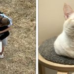 20+ Vezes em que os ângulos das fotos foram capazes de enganar a todos facilmente