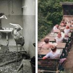 21 Fotos que mostram uma parte curiosa e pouco mostrada do nosso passado