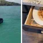 21 Pessoas esqueceram de fazer algo importante e decidiram expor as consequências na internet