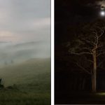 Fotógrafo australiano conquista fãs e clientes com suas fotos estranhas de casamentos